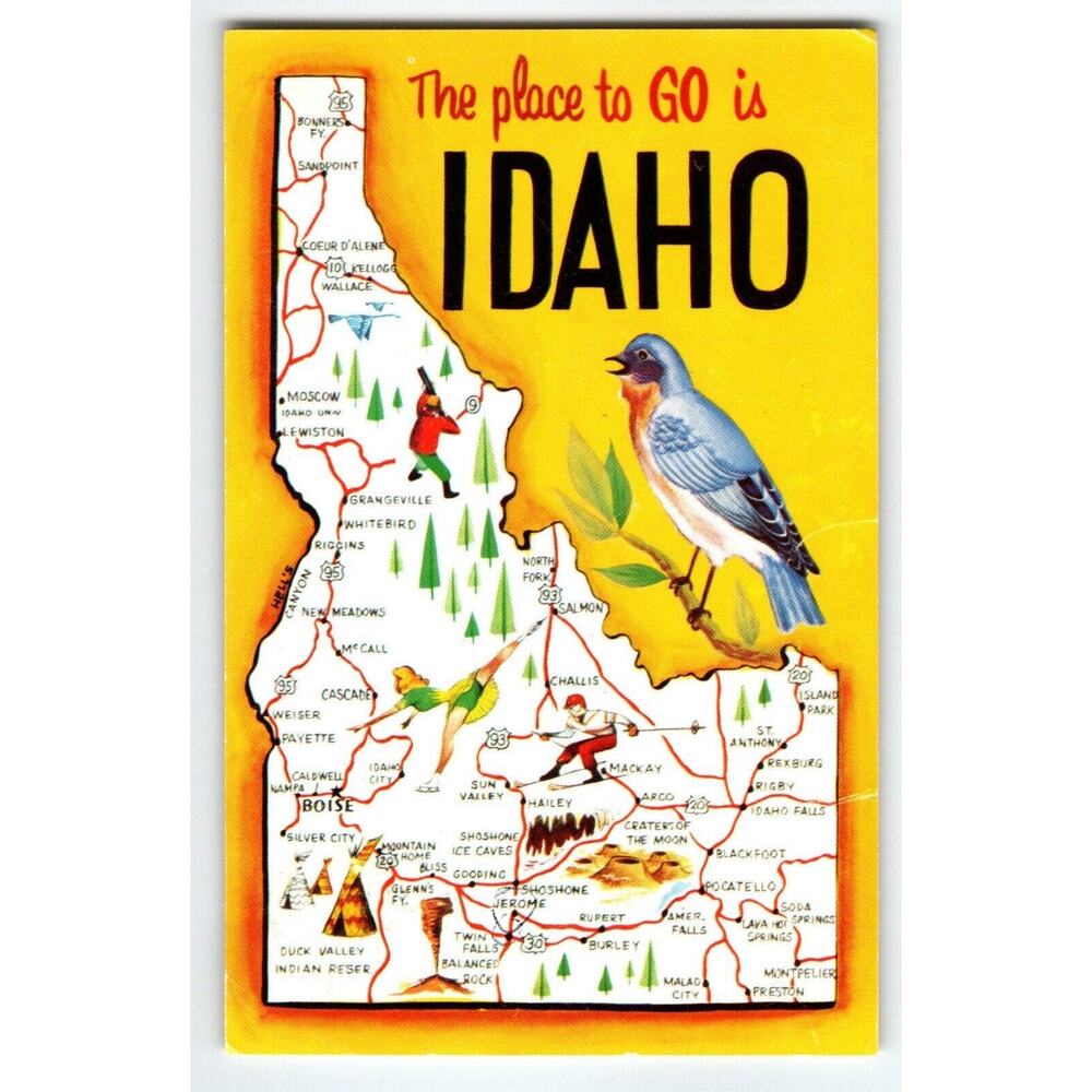 Greetings A Place To Go Is Idaho Map Postcard State Postcard Chrome 1969 Bird
